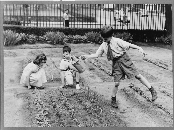 The History of Victory Gardens